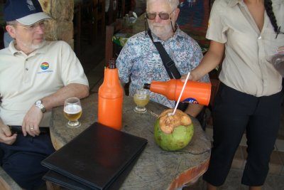 Coconut water on the hoof